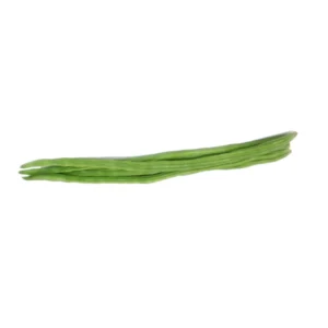 Drumstick