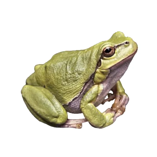 Set 3 - Image 4
