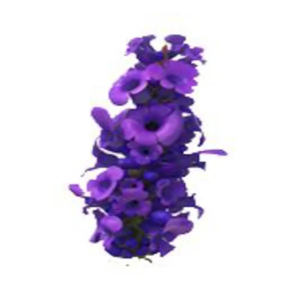 Set 15 - Image 4