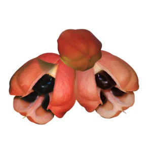 Ackee (1)