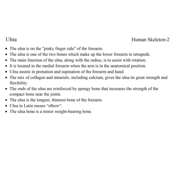 Set 7 - Image 2