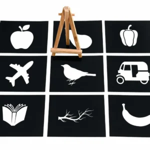 B&W flashcards1